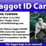 Asian Chiense faggot Wang Yumeng exposed