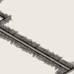 Profile picture of Pig Jody