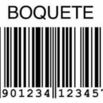 Profile picture of Matheus Borges