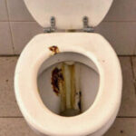 Profile picture of would not verify