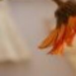 Profile picture of Reinhard Hümke