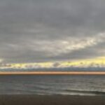 Profile picture of Will