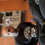 Profile picture of Mark Jones