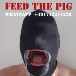 Profile picture of Frank Roland