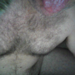 Profile picture of sispig40