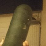 Profile picture of Shirley Cordewener