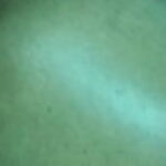 Profile picture of David M