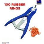 Screenshot_20241226_022444_Chrome 