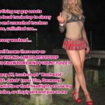 niels_truckstop_fagwhore 